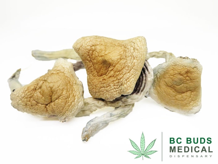 Order Flying Saucer Magic Mushrooms Marijuana Dispensary